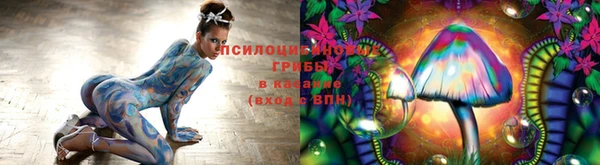 таблы Абинск
