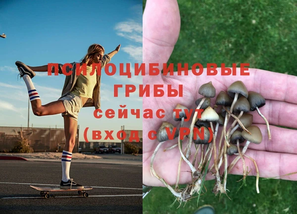 дживик Абдулино