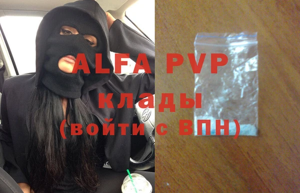 Альфа ПВП Ростов