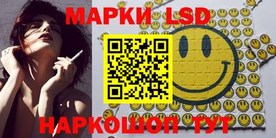 индика Усть-Джегута