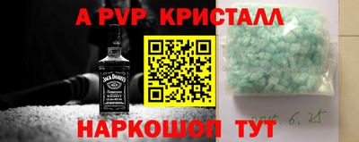 индика Усть-Джегута