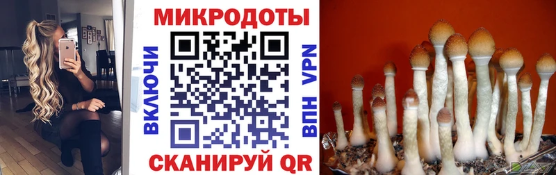 KRAKEN ТОР  Заринск  Псилоцибиновые грибы ЛСД 