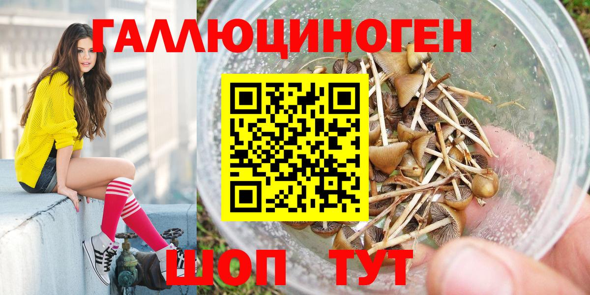 Галлюциногенные грибы MAGIC MUSHROOMS  Вход с VPN  Заринск 