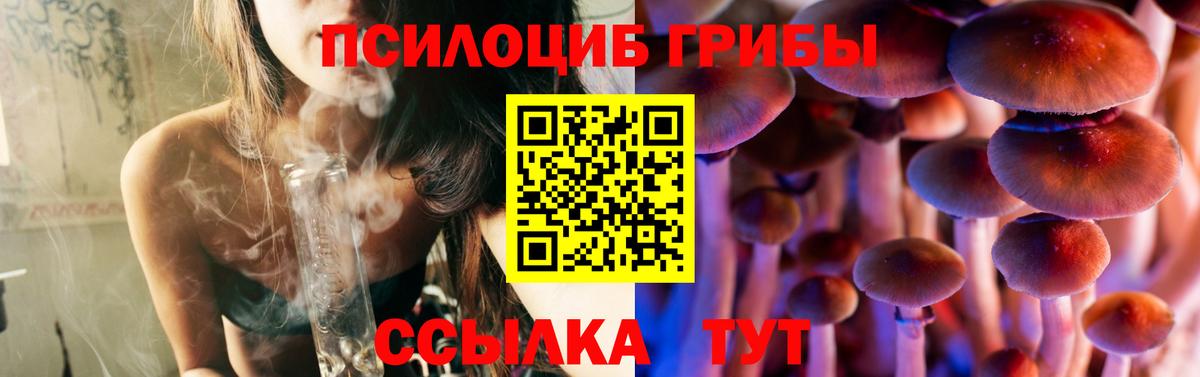 Галлюциногенные грибы прущие грибы Заринск